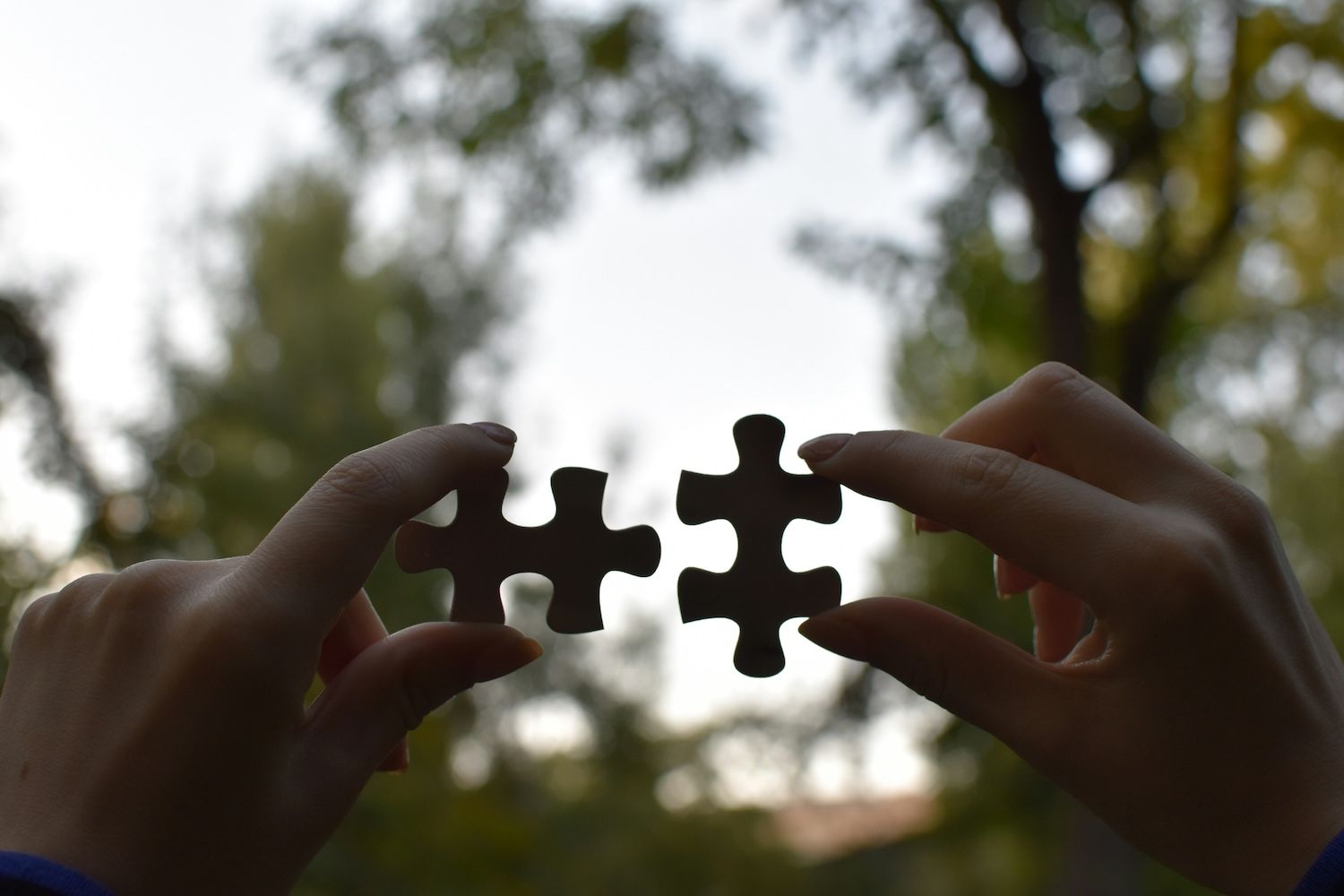 WOMD Team